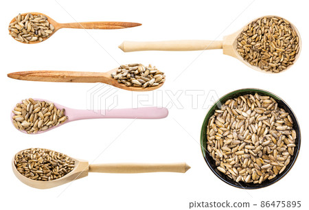 set of various milk thistle seeds isolated set of various milk thistle seeds isolated 86475895