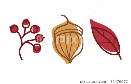 Colorful Autumn Leaf with Veins and Berry Twig as Seasonal Foliage on Stem Vector Set 86476072