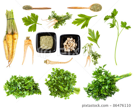 set of various garden parsley flavorings isolated 86476110
