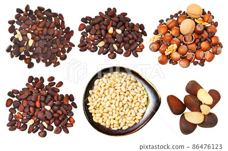 set of various pine nuts iisolated on white set of various pine nuts iisolated on white 86476123