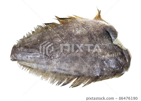 raw frozen headless halibut isolated on white 86476190
