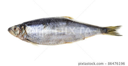 frozen whole pacific herring fish isolated 86476196