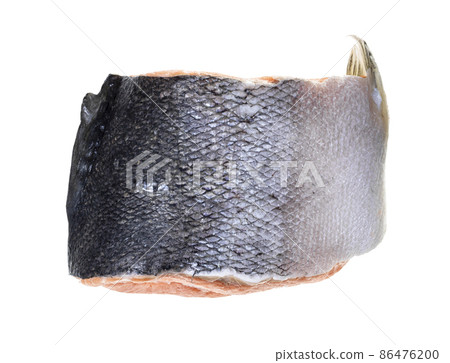 frozen part of atlantic salmon isolated on white frozen part of atlantic salmon isolated on white 86476200