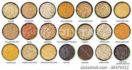set of various seeds in bowls with names isolated 86476312