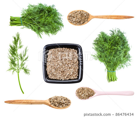 set of various dill herbs and seeds isolated 86476434