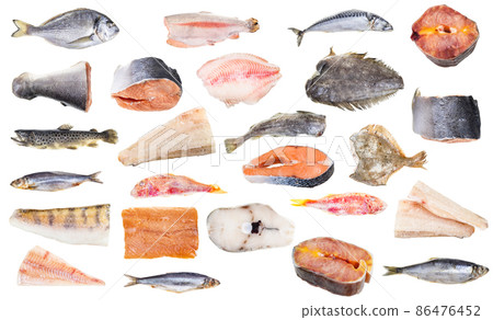 set of various frozen fishes and steaks isolated set of various frozen fishes and steaks isolated 86476452