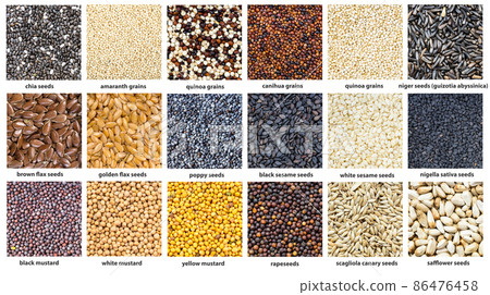background - various grains with names close up background - various grains with names close up 86476458
