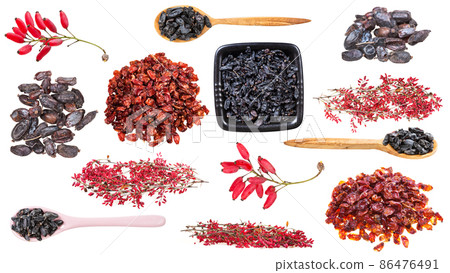set of various barberry fruits isolated on white 86476491