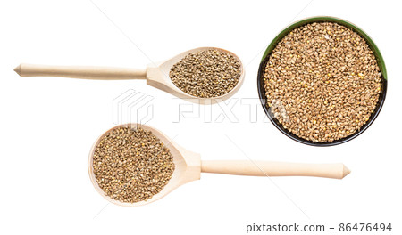set of various barnyard millet seeds isolated 86476494