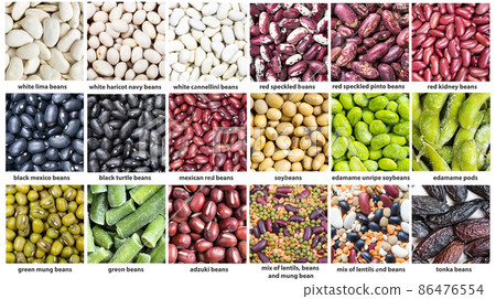 various beans with names close up 86476554