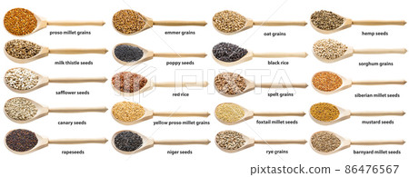 set of seeds and grains with names in wood spoons set of seeds and grains with names in wood spoons 86476567