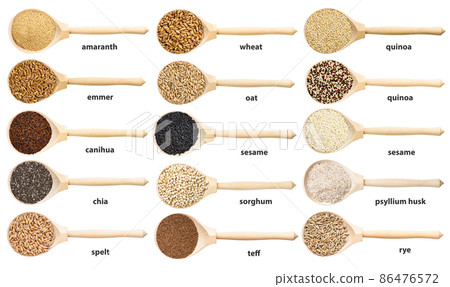 set of spoon with many seeds and grains with names set of spoon with many seeds and grains with names 86476572
