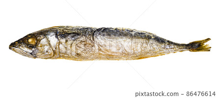 baked whole mackerel isolated on white baked whole mackerel isolated on white 86476614