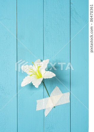 a flower attached on a wall 86478361