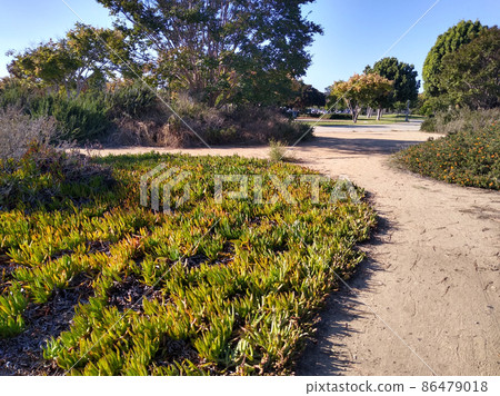 Promenade (in San Diego, USA) 86479018
