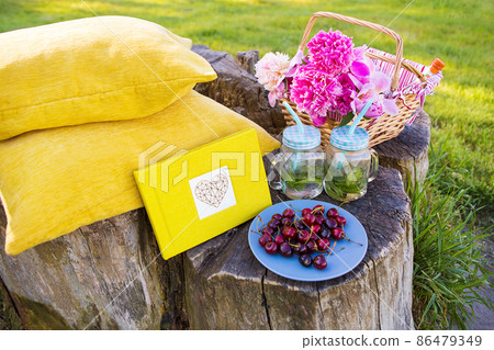 Picnic on nature 86479349