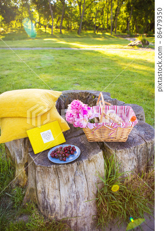 Picnic on nature 86479350