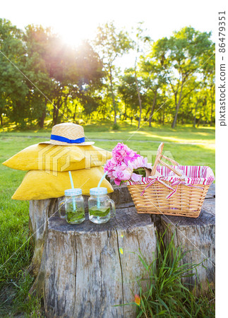 Picnic on nature 86479351