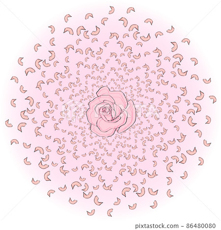 Flying from the circle of rose petals, sakura, cherries, apricots, apple trees with a rose in the middle. Whirlwind, wedding background, love 86480080