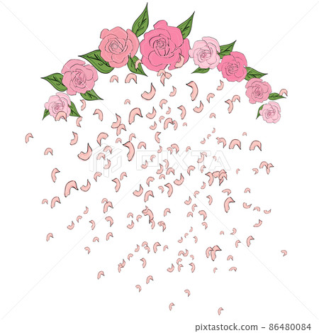 Rose petals falling, flying from a semicircular arch of roses with leaves, Tenderness, wedding background. Falling, flying petals of roses, cherry blossoms, cherries, apricots, apple-trees. Whirlwind, Rose petals falling, flying from a semicircular arch of roses with leaves, Tenderness, wedding background. Falling, flying petals of roses, cherry blossoms, cherries, apricots, apple-trees. Whirlwind, 86480084
