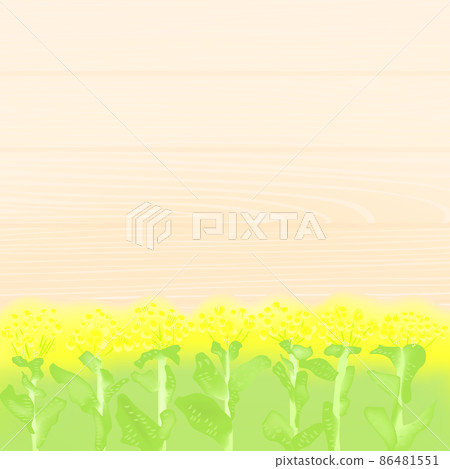 強姦開花背景圖 86481551