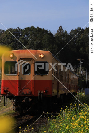 Local line Kominato Railway and rape blossoms on the Boso Peninsula Local line Kominato Railway and rape blossoms on the Boso Peninsula 86481669