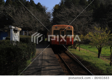 Local line Kominato Railway and rape blossoms on the Boso Peninsula Local line Kominato Railway and rape blossoms on the Boso Peninsula 86481683