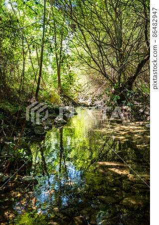 Canyon and river forming the so called Stretta di Longi, Galati Mamertino Canyon and river forming the so called Stretta di Longi, Galati Mamertino 86482947