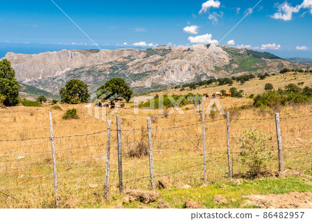 View of Rocche del Crasto near Alcara Li Fusi town in the Nebrodi Park, Sicily View of Rocche del Crasto near Alcara Li Fusi town in the Nebrodi Park, Sicily 86482957