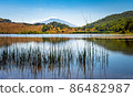 View of Biviere lake with Etna volcano, Nebrodi National Park, Sicily, Italy 86482987