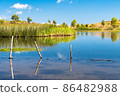 View of Biviere lake on a sunny summer day, Nebrodi National Park, Sicily, Italy 86482988