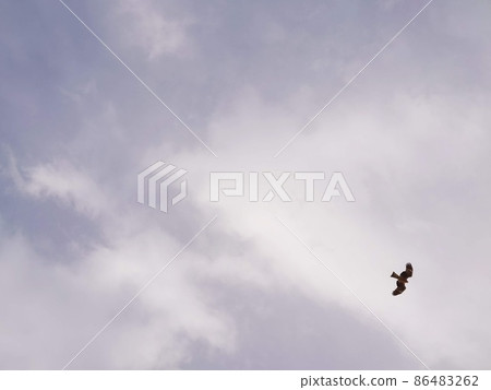 Cloudy sky Tonbi Cloudy sky Tonbi 86483262