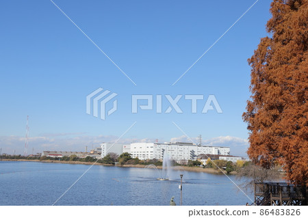 埼玉縣久喜市久喜部公園昭和沼的風景 86483826