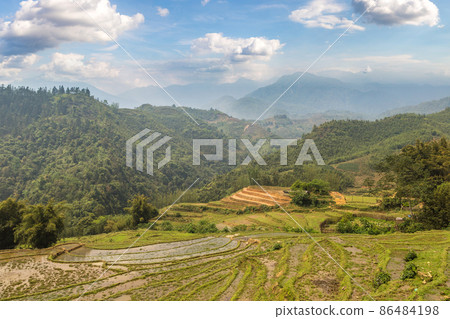 Terraced rice field in Sapa Terraced rice field in Sapa 86484198
