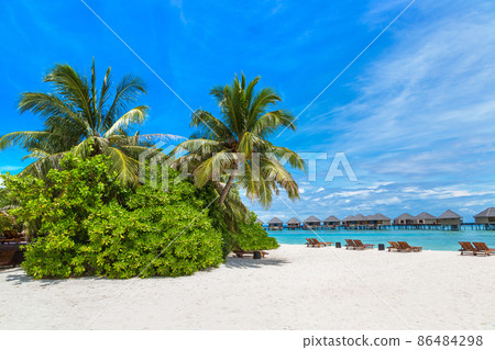 Sunbed and umbrella in the Maldives 86484298