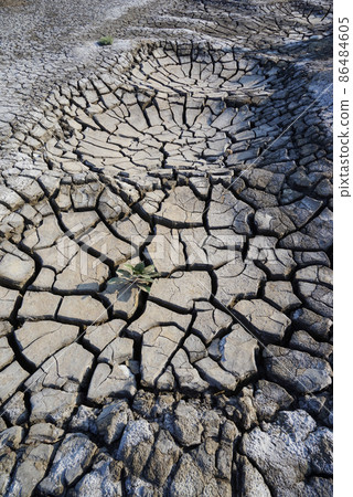 The cracked ground 86484605