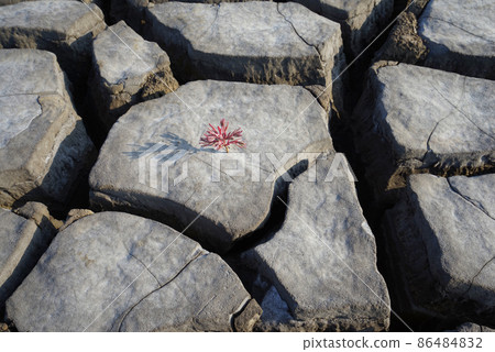 The cracked ground 86484832