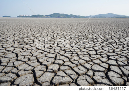 The cracked ground The cracked ground 86485237