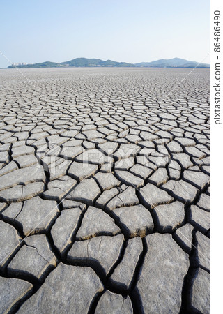 The cracked ground The cracked ground 86486490