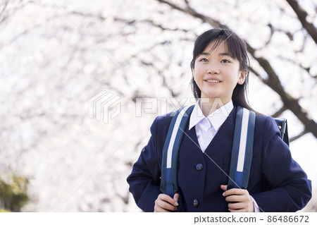 在一排櫻花樹上上學的小學畢業新初中生 86486672