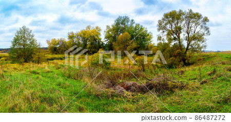 Autumn forest panorama 86487272