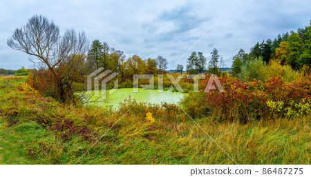 Forest lake in fall. Panorama Forest lake in fall. Panorama 86487275
