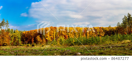 Autumn forest panorama Autumn forest panorama 86487277