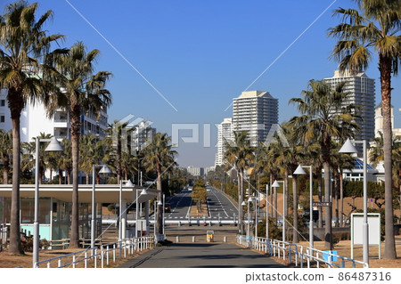 Urayasu palm tree landscape Urayasu palm tree landscape 86487316