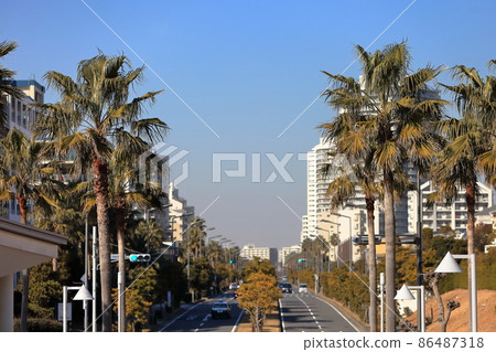 Urayasu palm tree landscape Urayasu palm tree landscape 86487318