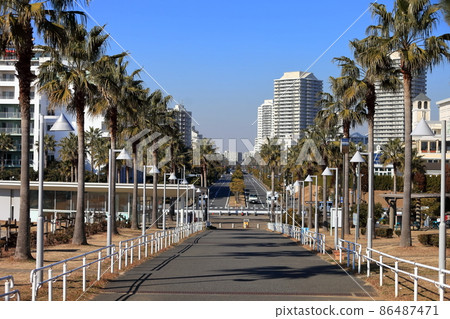 Urayasu palm tree landscape Urayasu palm tree landscape 86487471