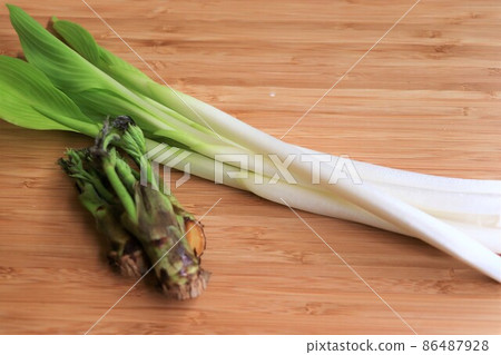 Spring ingredients ・ Ului and cod buds (spring image) 86487928