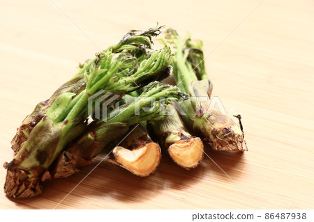 春季食材，鱈魚芽（春季圖片） 86487938