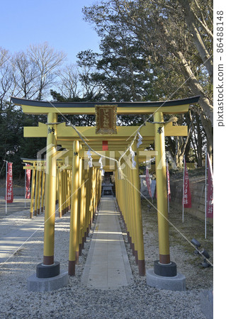茨城縣星茂神社，金色的鳥居一字排開 86488148