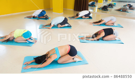 People relaxing and enjoying yoga elements 86488550